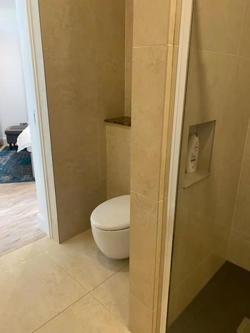 Beautiful Garden Apartment With Private Patio And Garden View Dublin Eksteriør bilde