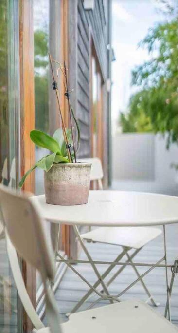 Beautiful Garden Apartment With Private Patio And Garden View Dublin Eksteriør bilde